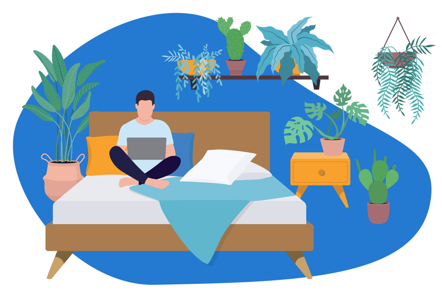 chambre parentale plante